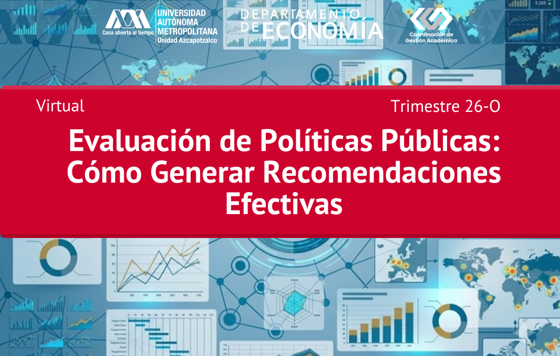 Evaluación de Políticas Públicas: Cómo Generar Recomendaciones Efectivas
